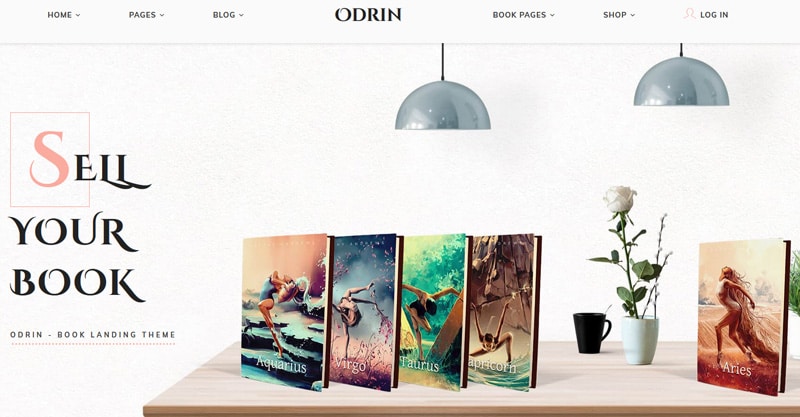 What Are Some Good WordPress Themes For Author’s Websites?