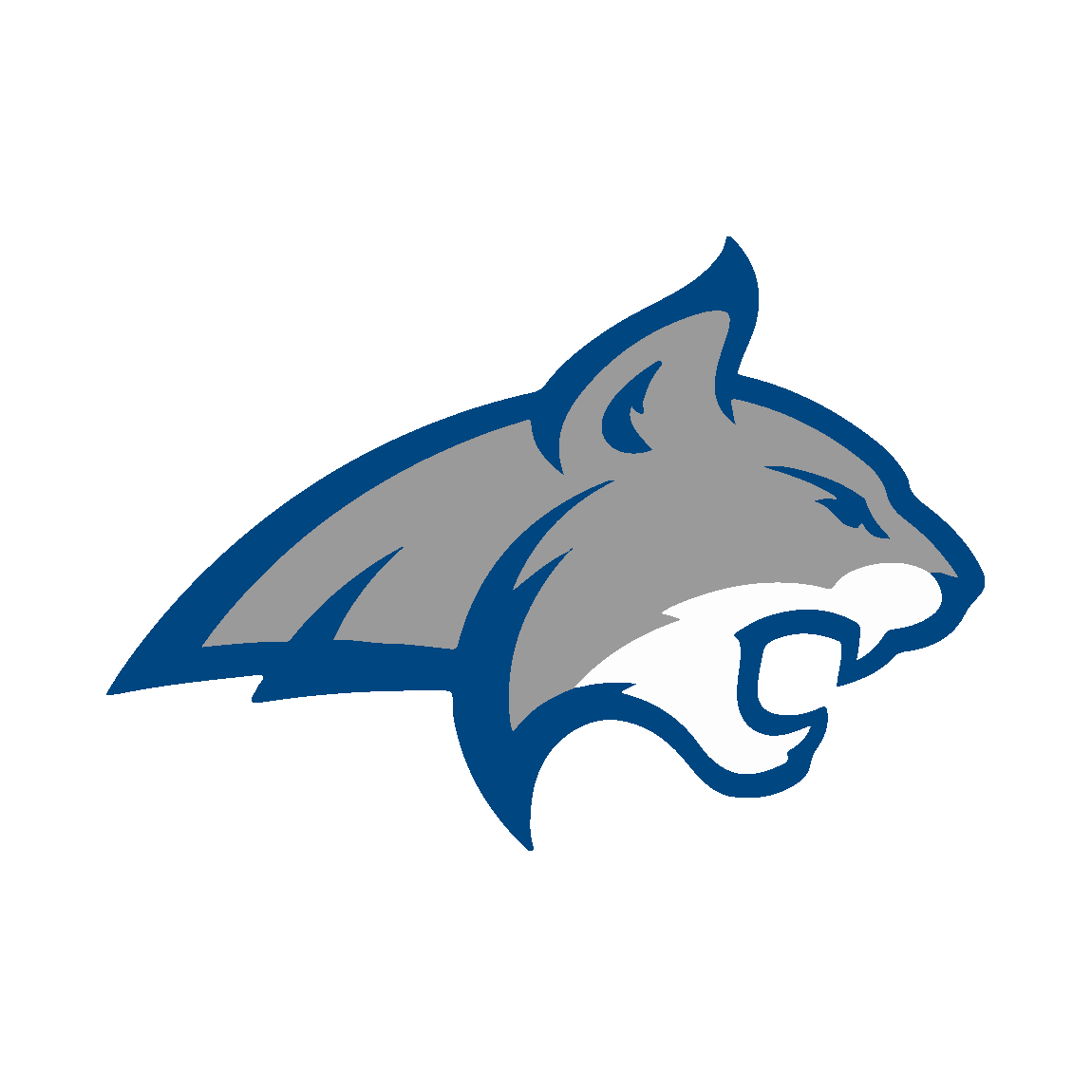 Team Image