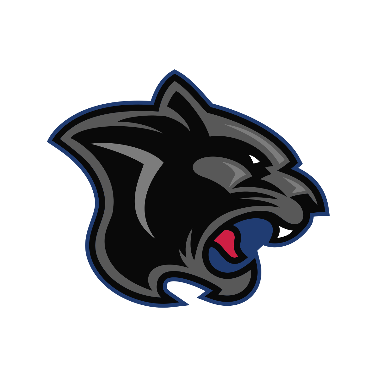 Team Image