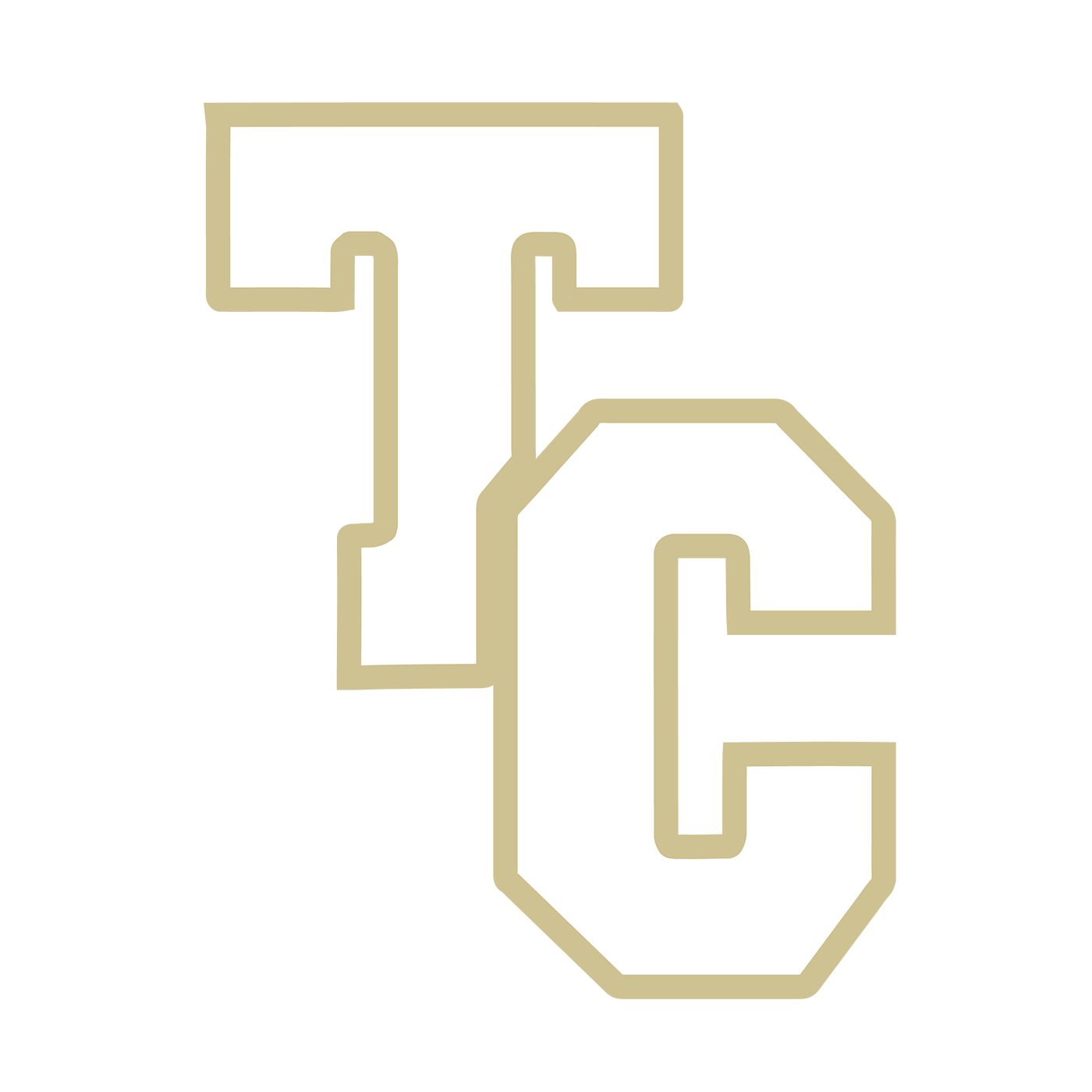 Team Image