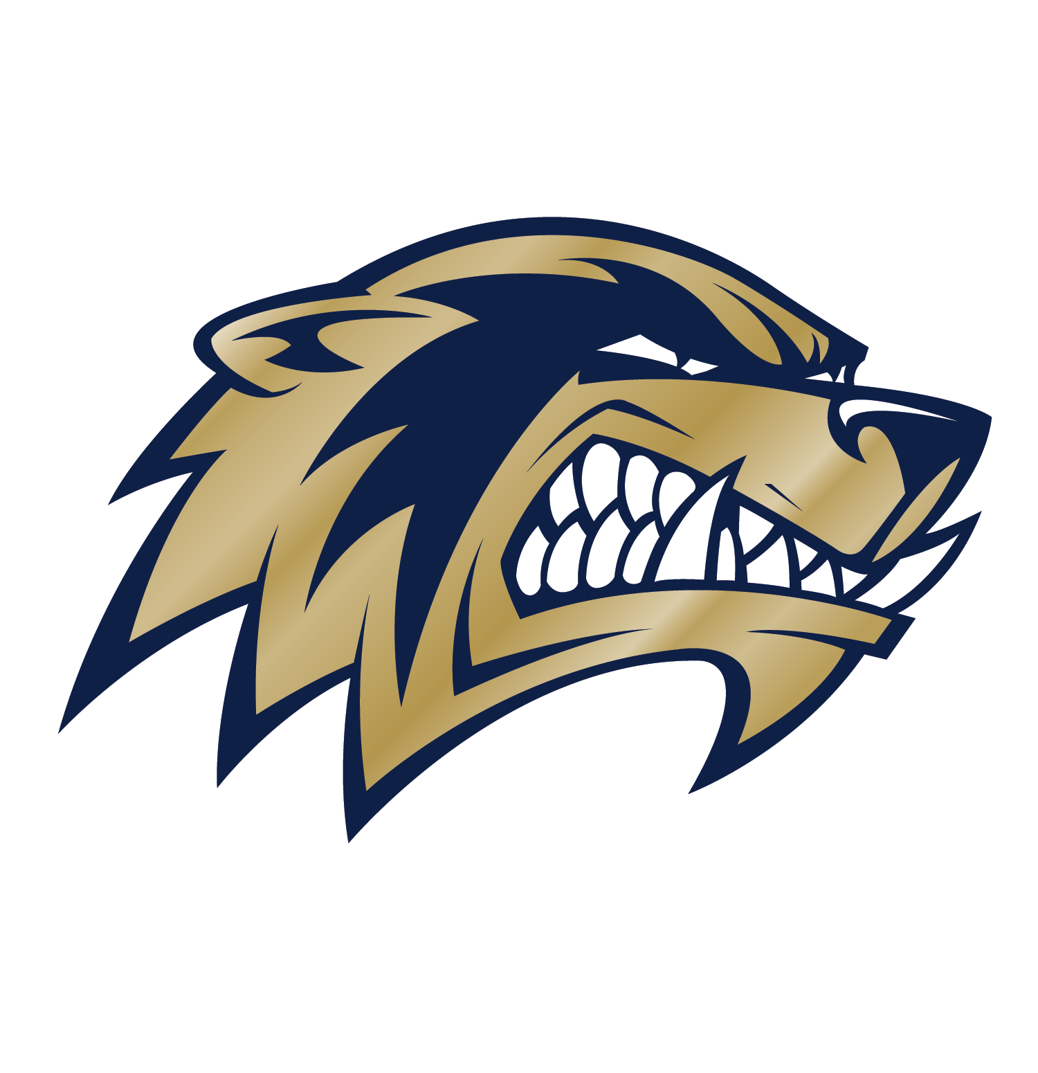 Team Image