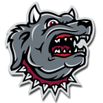 Team Image