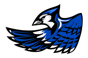 Team Image
