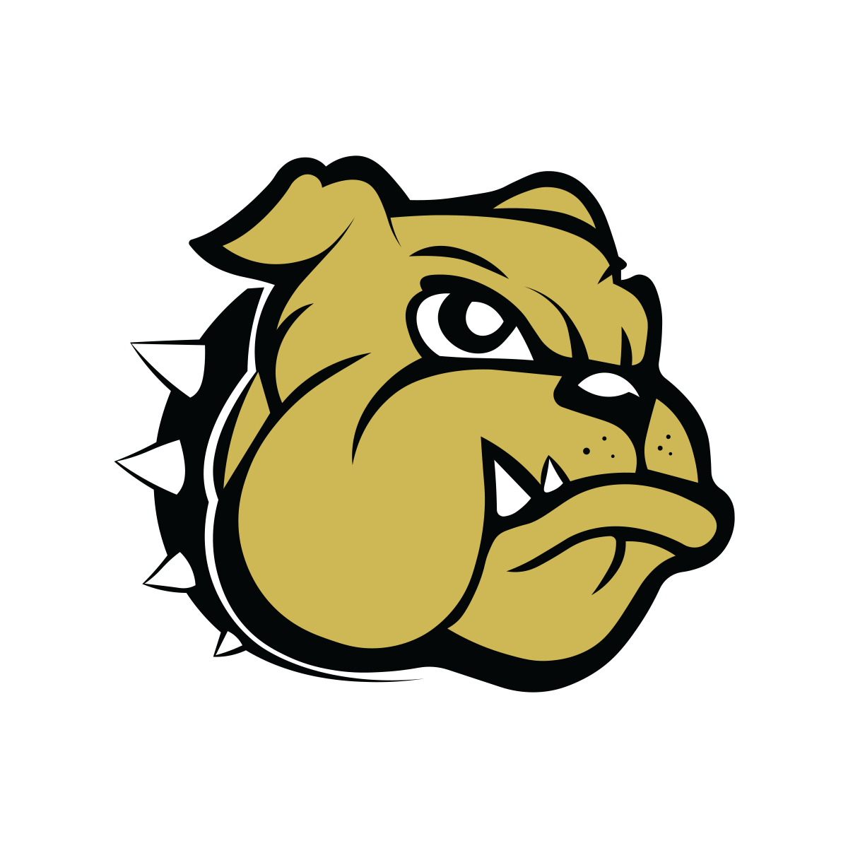 Team Image