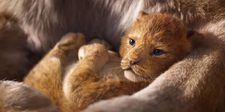 conta digital no imposto de renda