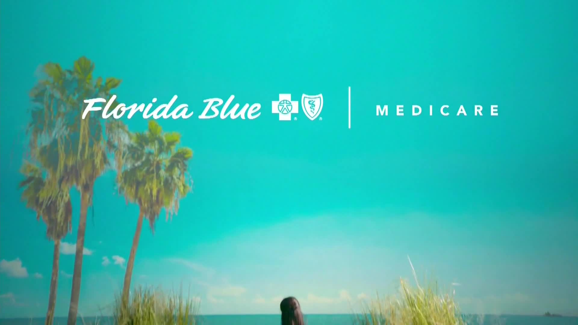 Florida Blue Advertising Profile See Their Ad Spend! MediaRadar