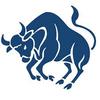 Regular taurus