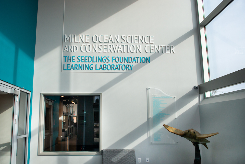 Mystic Aquarium Tenji Aquarium Design + Build