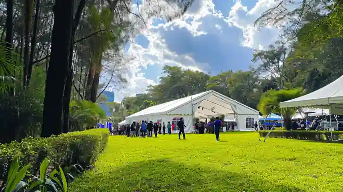 Comparison of popular tent brands offering a variety of sizes and styles