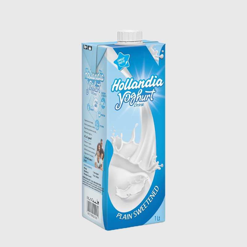 Hollandia youghurt big size