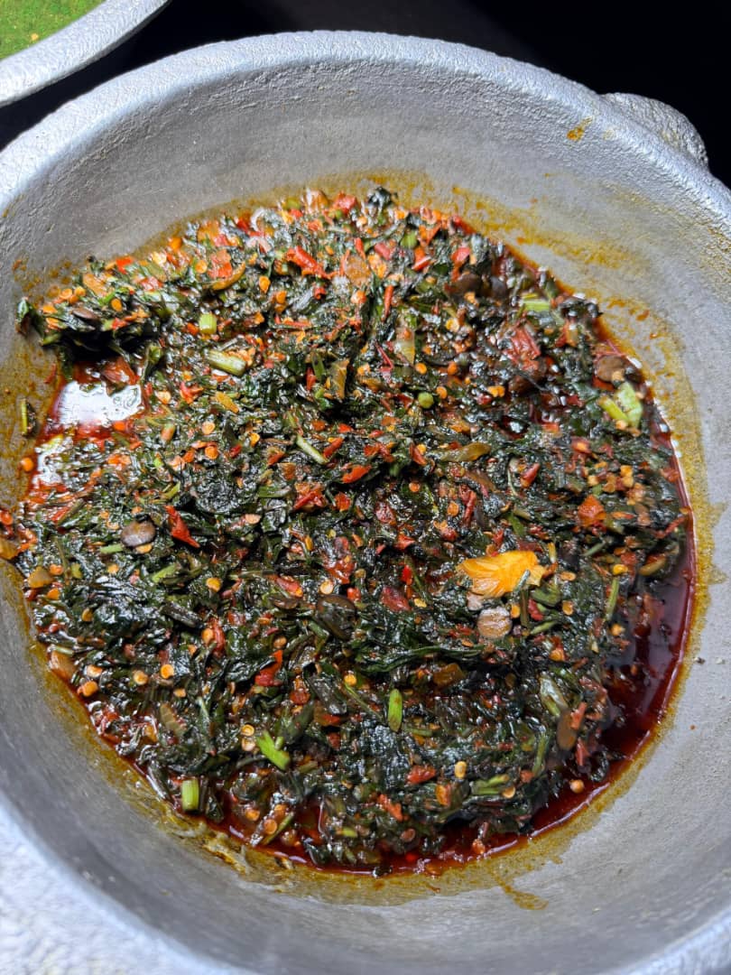 EFO RIRO