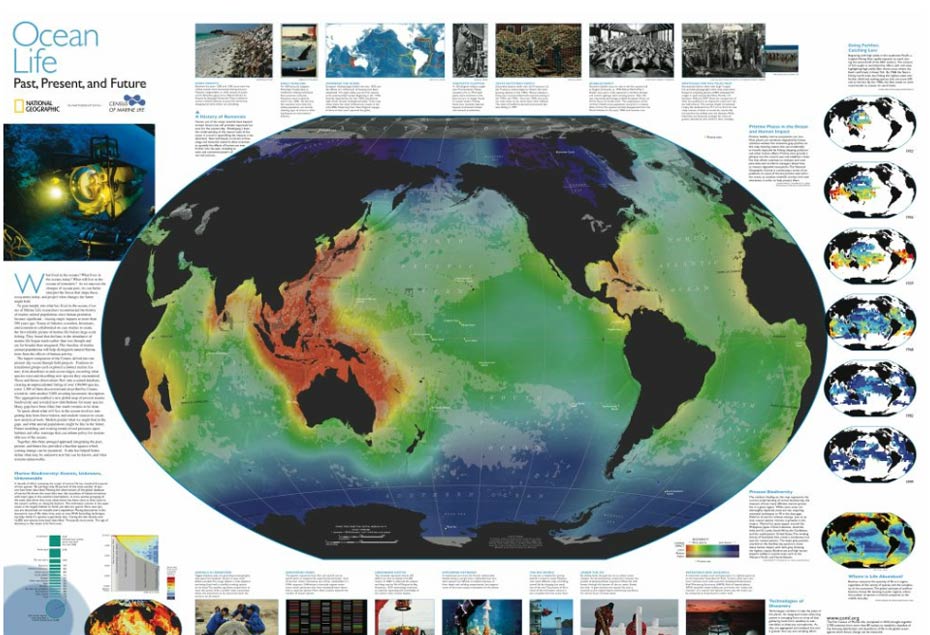 Ocean Diversity