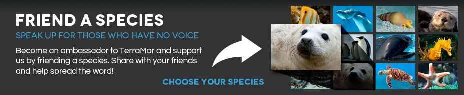 Friend a Species