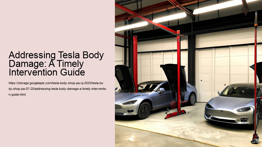 Addressing Tesla Body Damage: A Timely Intervention Guide
