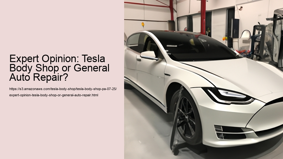 Expert Opinion: Tesla Body Shop or General Auto Repair?