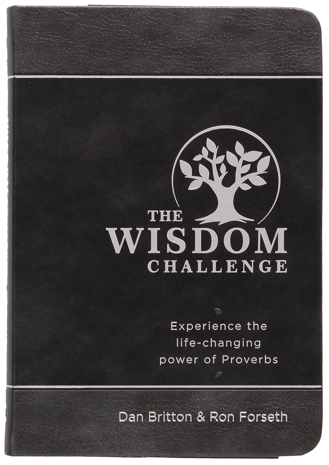 The Wisdom Challengeby Dan Britton