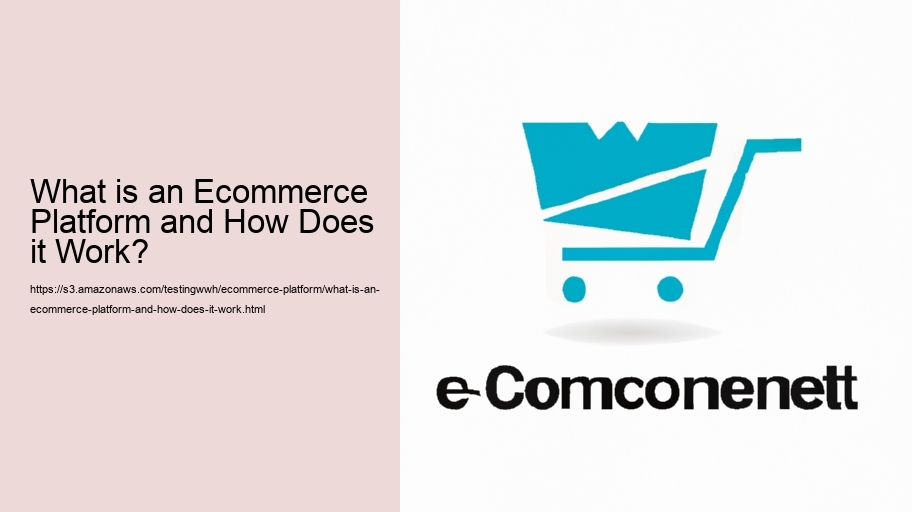 What is an Ecommerce Platform and How Does it Work?