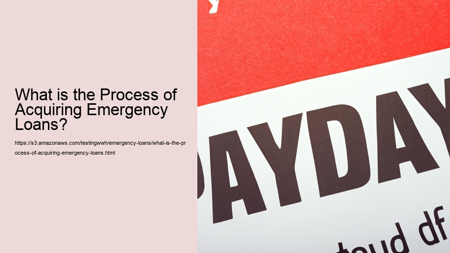 What is the Process of Acquiring Emergency Loans?