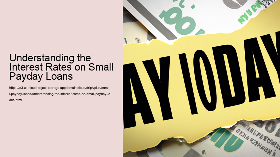 Understanding the Interest Rates on Small Payday Loans