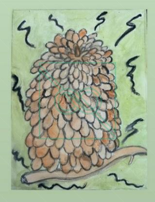 Pine Comb - Watercolor by Chris Scheuer — Watercolor