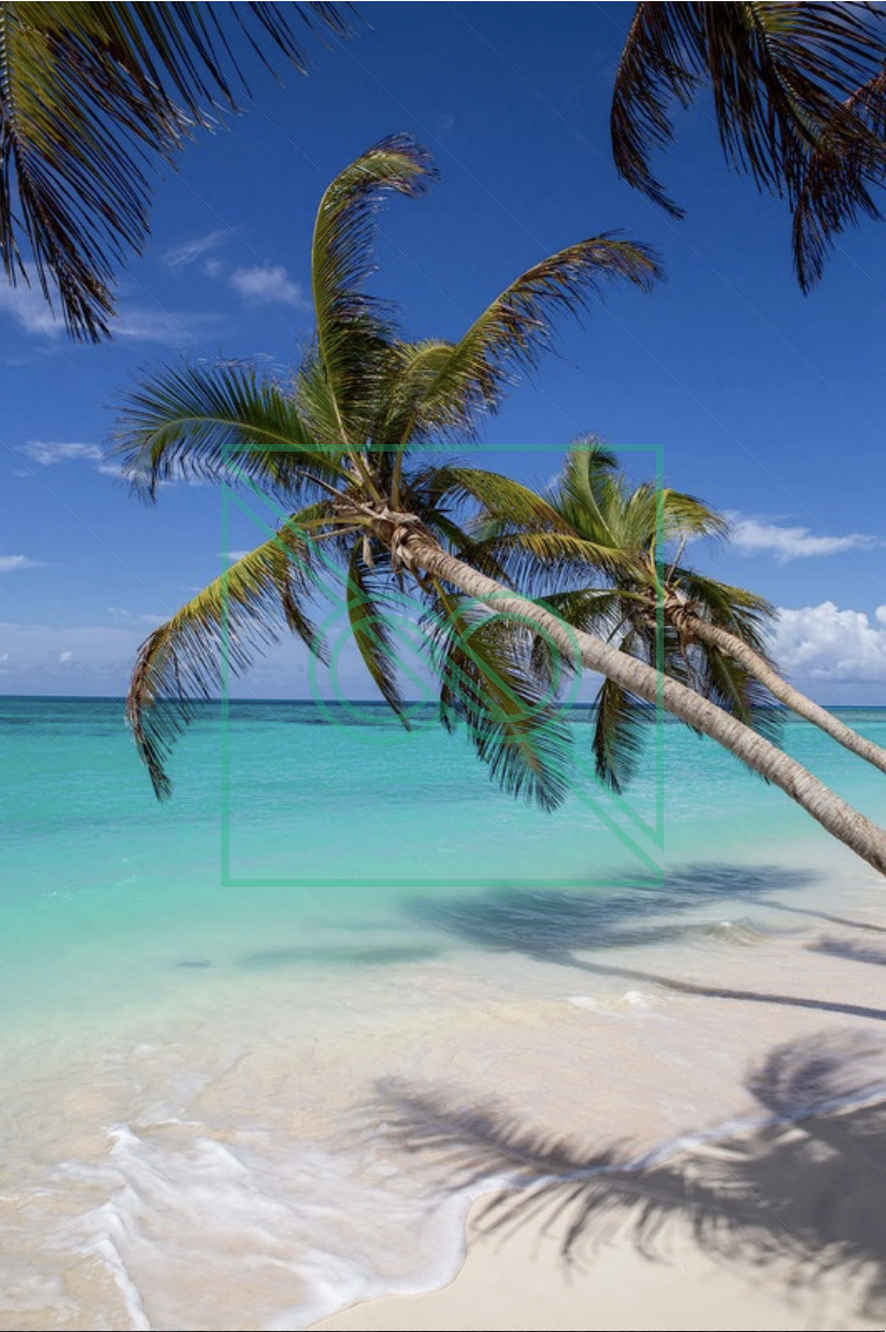 Tropical Serenity by Artem Shestakov — museum-quality, limited edition prints (AP 1/3)