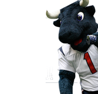 Find Toro!
