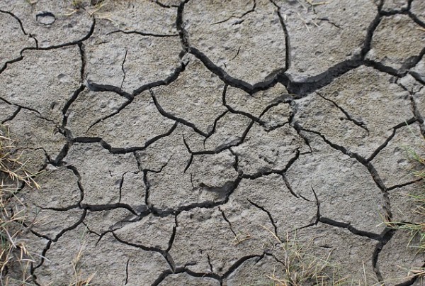 Forget Oil: Water Could be the Defining Issue for Texas