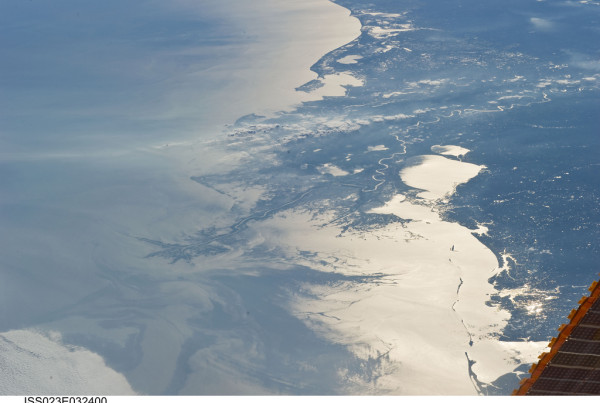 How BP Gulf Disaster Is Potential Windfall For Habitat Restoration