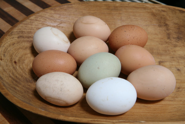 Keeping Up With The Demand For Specialty Eggs