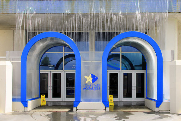 A Texas Aquarium Tried to Kill Off Parasites, But Then the Fish Started Dying