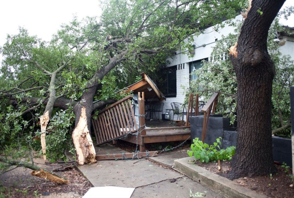 UT Austin Can Help Flood Victims Salvage Documents and Heirlooms