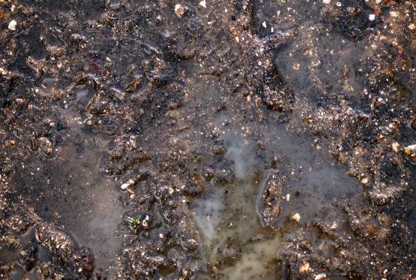 Chevron’s Big Foot Gets Stuck in the Mud
