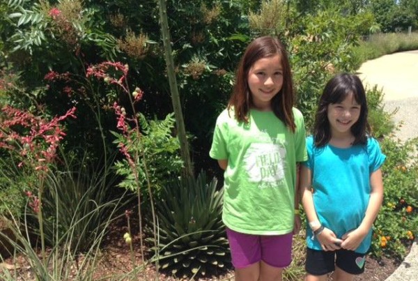 Bloom Then Doom: Giant Agave Flowers At Dallas Arboretum, But Will Soon Die