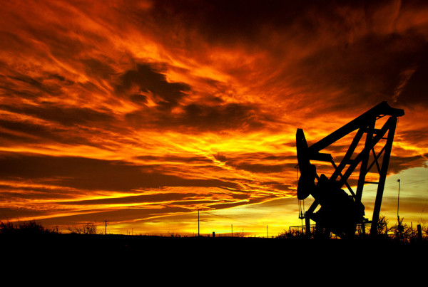 My Year as a Roughneck