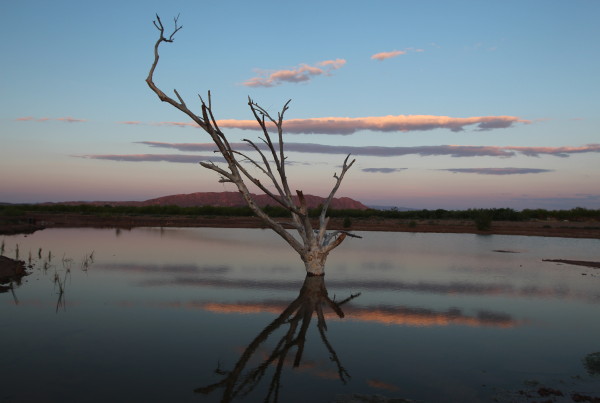 Border Wetland Uses Treated Wastewater As Congress Considers Wetland Funding