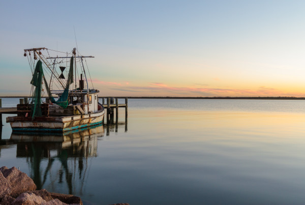 Texas Shrimping Industry Faces Critical Worker Shortage