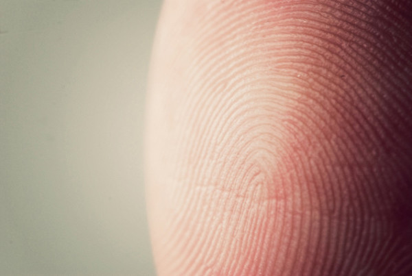 My Fingerprints Are Not On This Commentary