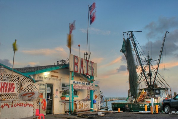 Why Texas A&M Researchers Are Gathering Gulf Fish Guts