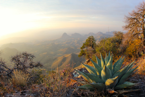 PolitiFact Texas: Public Lands