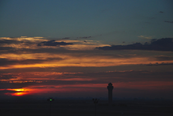 An Appeal to Rename the DFW Airport for David Foster Wallace