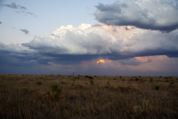 Coronado’s Disappointing Trip to the Texas Panhandle