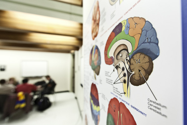 Are Psychology Studies Accurate?