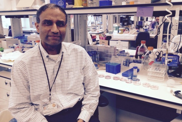 MD Anderson Study Indicates Common Cardiac Drugs May Help in Cancer Treatment