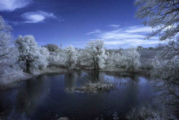 How A West Texas Nonprofit Hopes To Get Comanche Springs Flowing Again