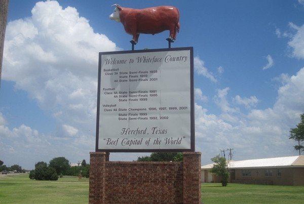 Can Cash Incentives Improve Rural Mental Health Access?