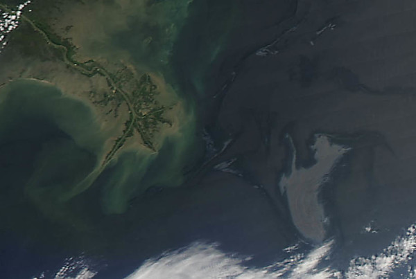 More Money Released To Restore Nature Habitats In The Gulf Of Mexico