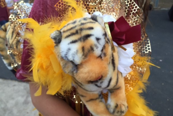 Typewriter Rodeo: Homecoming Mums
