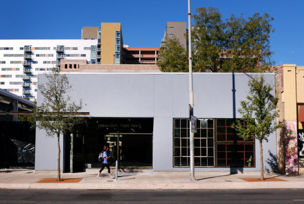 Why It’s OK to Be Stumped About Who Manages Austin’s Trees