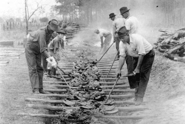 The Historic Connection Between Slave Recipes and Today’s Barbecue
