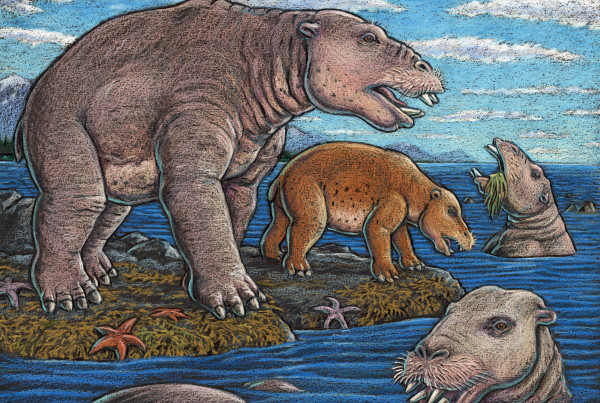 Thousands Of Vertebrate Paleontologists Descend On Dallas